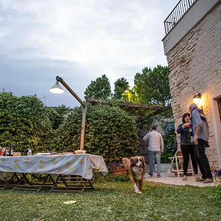 Alojamento de Acomodação e Pequeno-almoço Albarosa